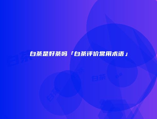 白茶是好茶吗「白茶评价常用术语」