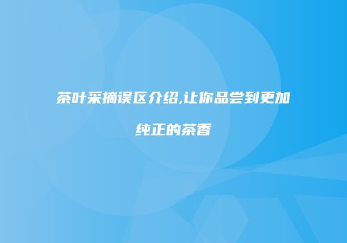 茶叶采摘误区介绍,让你品尝到更加纯正的茶香