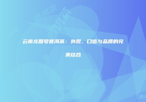云南龙园号普洱茶：外观、口感与品质的完美结合