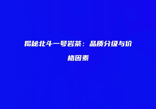 揭秘北斗一号岩茶：品质分级与价格因素