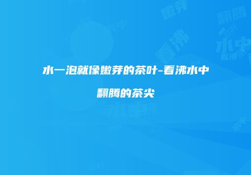 水一泡就像嫩芽的茶叶-看沸水中翻腾的茶尖