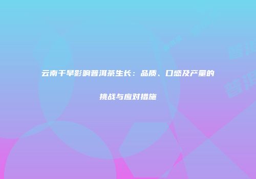 云南干旱影响普洱茶生长：品质、口感及产量的挑战与应对措施
