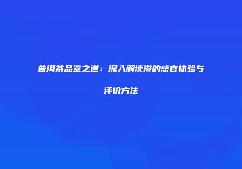 普洱茶品鉴之道：深入解读滋的感官体验与评价方法