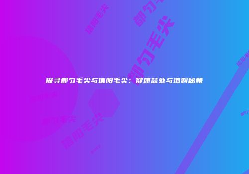 探寻都匀毛尖与信阳毛尖：健康益处与泡制秘籍