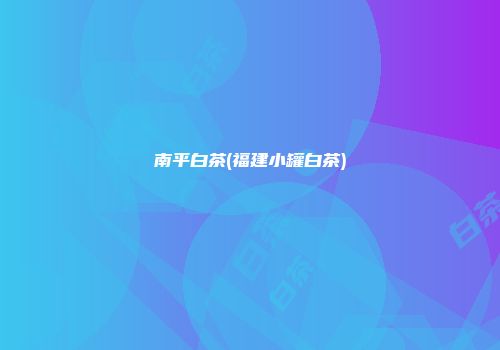 南平白茶(福建小罐白茶)