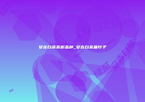 安吉白茶茶树品种_安吉白茶扁叶子