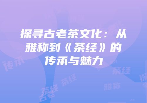 探寻古老茶文化：从雅称到《茶经》的传承与魅力