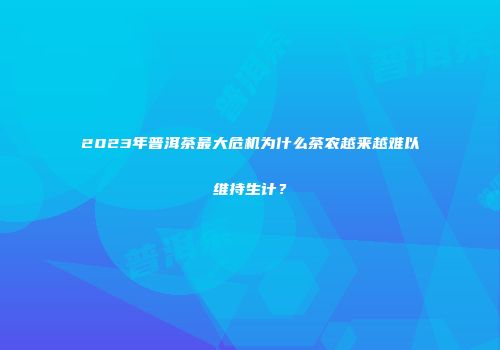 2023年普洱茶最大危机为什么茶农越来越难以维持生计？