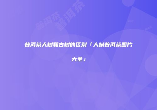普洱茶大树和古树的区别「大树普洱茶图片大全」