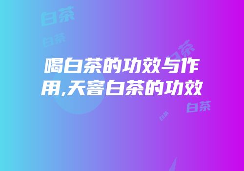 喝白茶的功效与作用,天窨白茶的功效