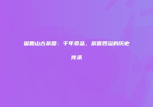 困鹿山古茶园：千年贡品，茶香四溢的历史传承