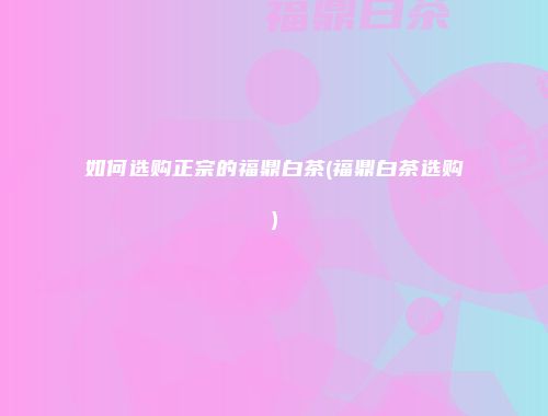 如何选购正宗的福鼎白茶(福鼎白茶选购)