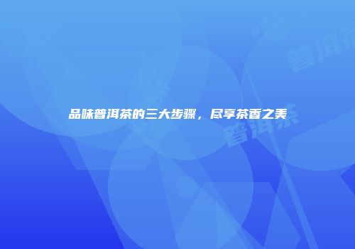 品味普洱茶的三大步骤，尽享茶香之美