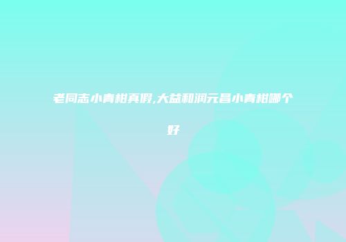 老同志小青柑真假,大益和润元昌小青柑哪个好