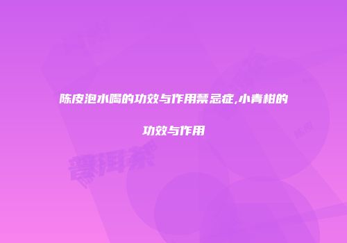 陈皮泡水喝的功效与作用禁忌症,小青柑的功效与作用
