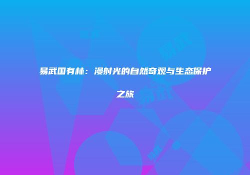 易武国有林：漫射光的自然奇观与生态保护之旅