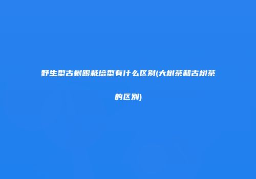 野生型古树跟栽培型有什么区别(大树茶和古树茶的区别)