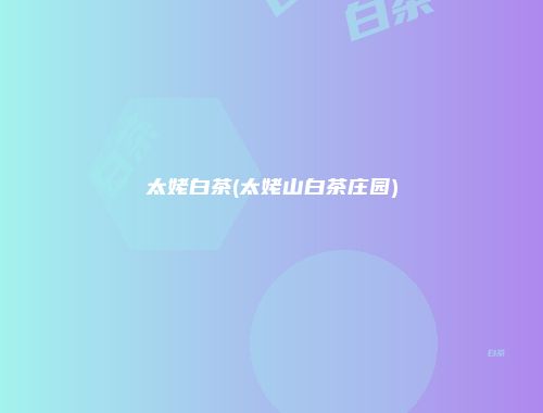 太姥白茶(太姥山白茶庄园)