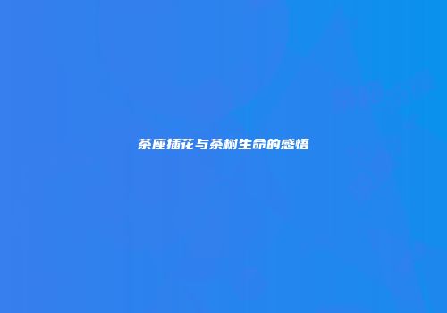 茶座插花与茶树生命的感悟