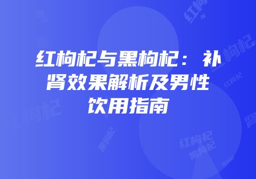 红枸杞与黑枸杞：补肾效果解析及男性饮用指南
