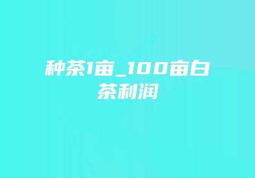 种茶1亩_100亩白茶利润