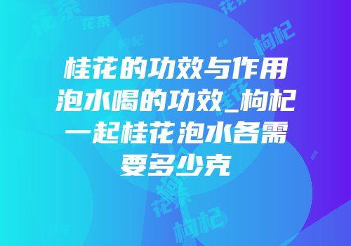 桂花的功效与作用泡水喝的功效_枸杞一起桂花泡水各需要多少克