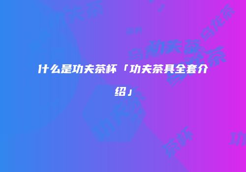 什么是功夫茶杯「功夫茶具全套介绍」