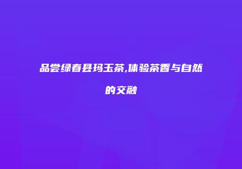 品尝绿春县玛玉茶,体验茶香与自然的交融