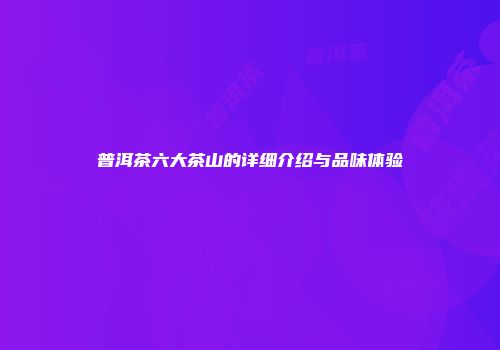 普洱茶六大茶山的详细介绍与品味体验