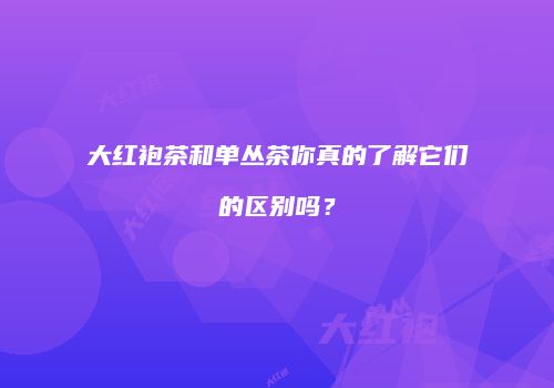 大红袍茶和单丛茶你真的了解它们的区别吗？
