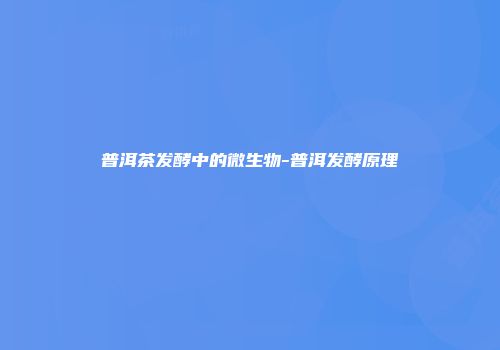 普洱茶发酵中的微生物-普洱发酵原理