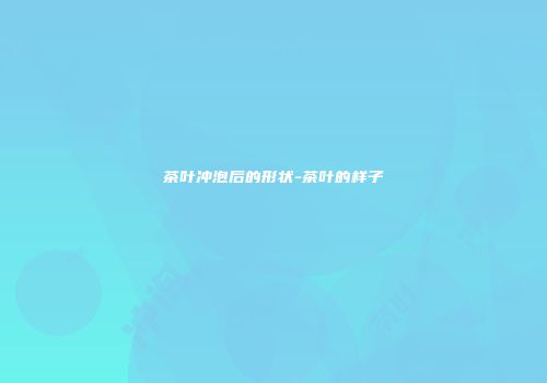 茶叶冲泡后的形状-茶叶的样子