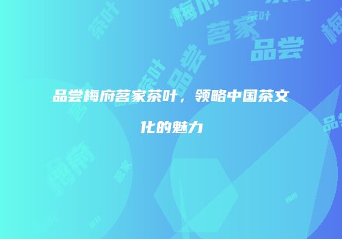 品尝梅府茗家茶叶，领略中国茶文化的魅力