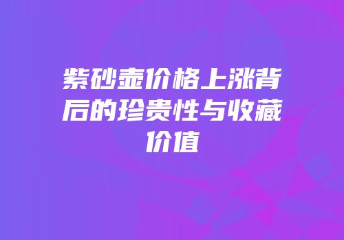紫砂壶价格上涨背后的珍贵性与收藏价值