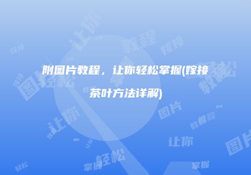 附图片教程，让你轻松掌握(嫁接茶叶方法详解)