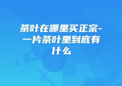 茶叶在哪里买正宗-一片茶叶里到底有什么