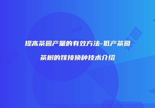 提高茶园产量的有效方法-低产茶园茶树的嫁接换种技术介绍