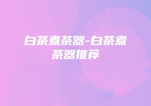 白茶煮茶器-白茶煮茶器推荐