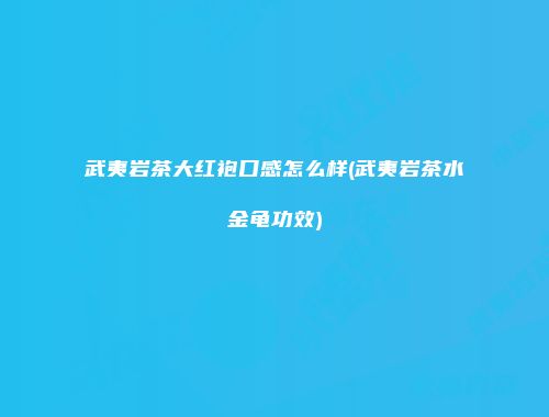 武夷岩茶大红袍口感怎么样(武夷岩茶水金龟功效)