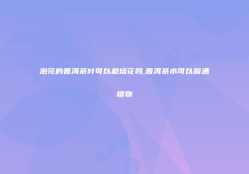 泡完的普洱茶叶可以栽培花吗,普洱茶水可以喷洒植物