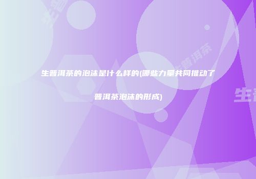 生普洱茶的泡沫是什么样的(哪些力量共同推动了普洱茶泡沫的形成)