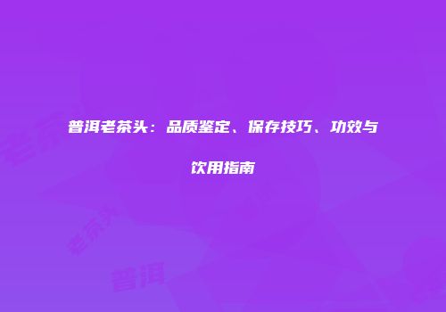 普洱老茶头：品质鉴定、保存技巧、功效与饮用指南
