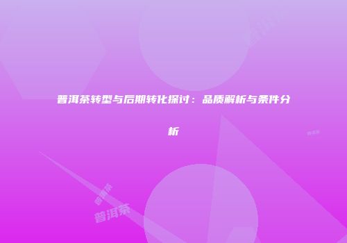 普洱茶转型与后期转化探讨：品质解析与条件分析