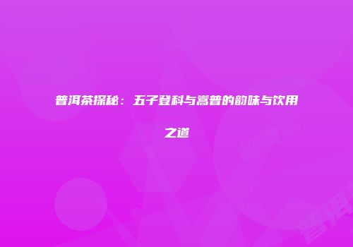 普洱茶探秘：五子登科与嵩普的韵味与饮用之道
