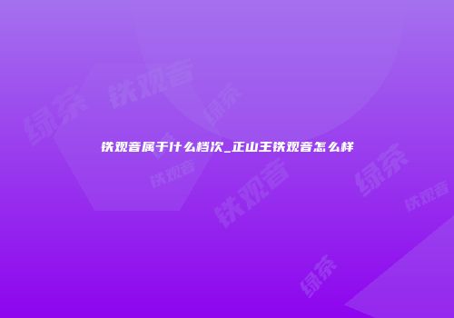 铁观音属于什么档次_正山王铁观音怎么样
