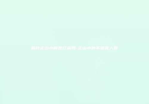 茶叶正山小种是红茶吗-正山小种不适宜人群