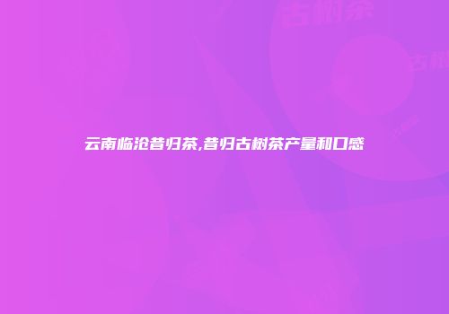 云南临沧昔归茶,昔归古树茶产量和口感
