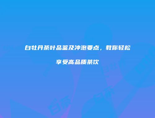 白牡丹茶叶品鉴及冲泡要点，教你轻松享受高品质茶饮