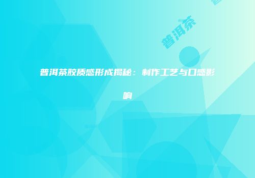 普洱茶胶质感形成揭秘：制作工艺与口感影响