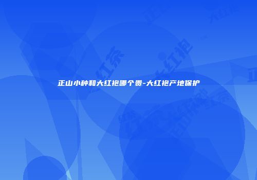 正山小种和大红袍哪个贵-大红袍产地保护